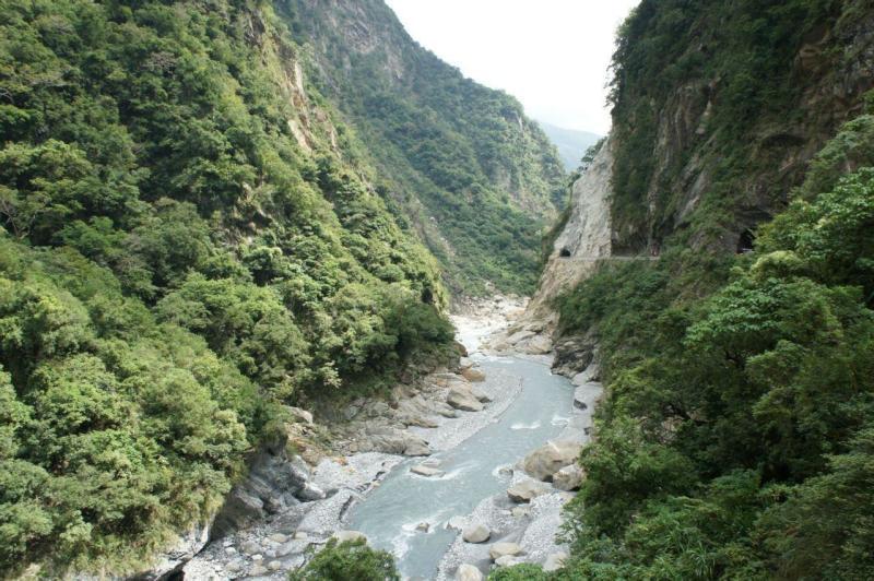 动物帮帮忙保卫家园